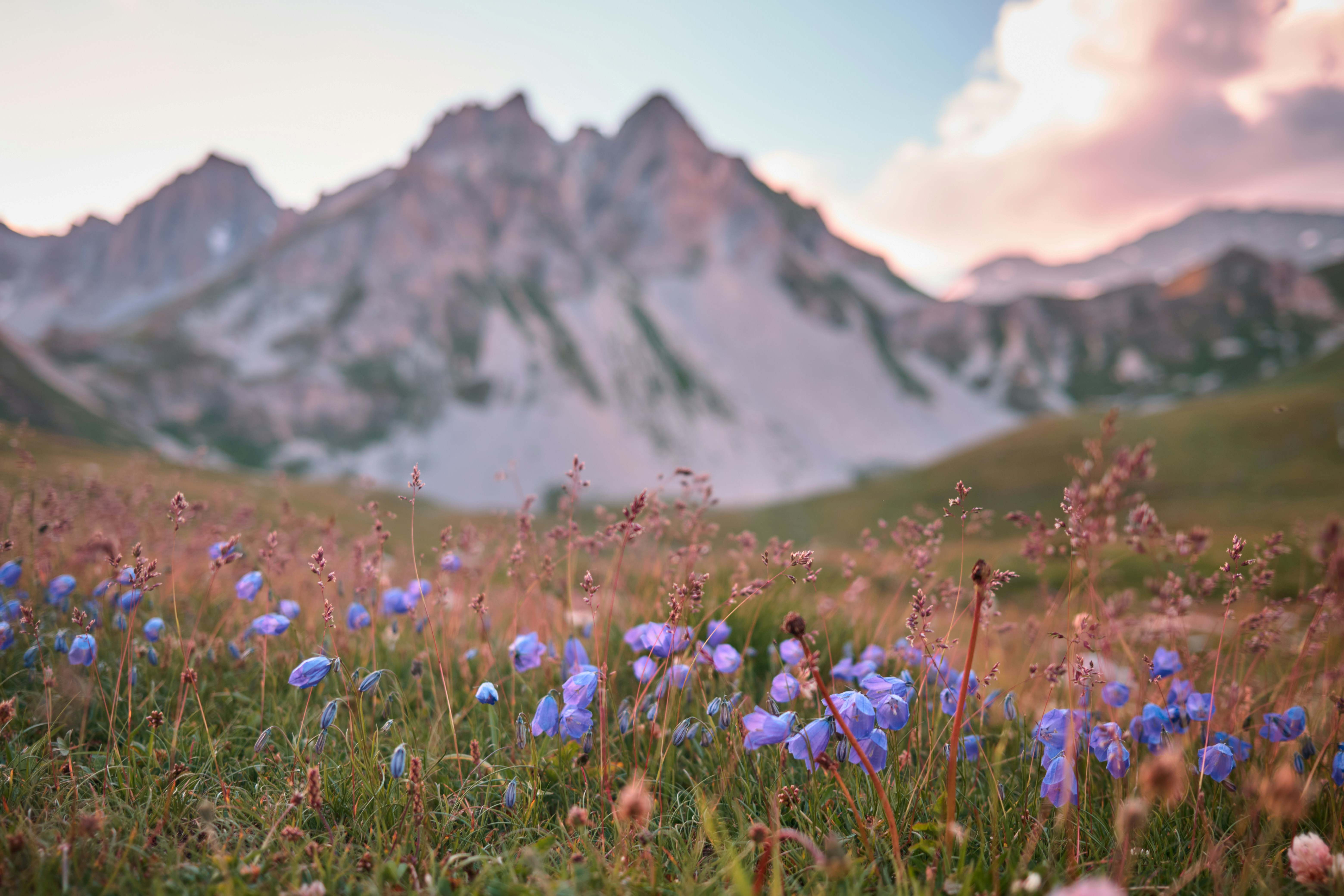 alexander-van-steenberge-NBPEFoFkXyU-unsplash